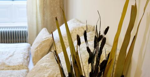 Gallery preview item 2